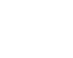 AI Chat Bot